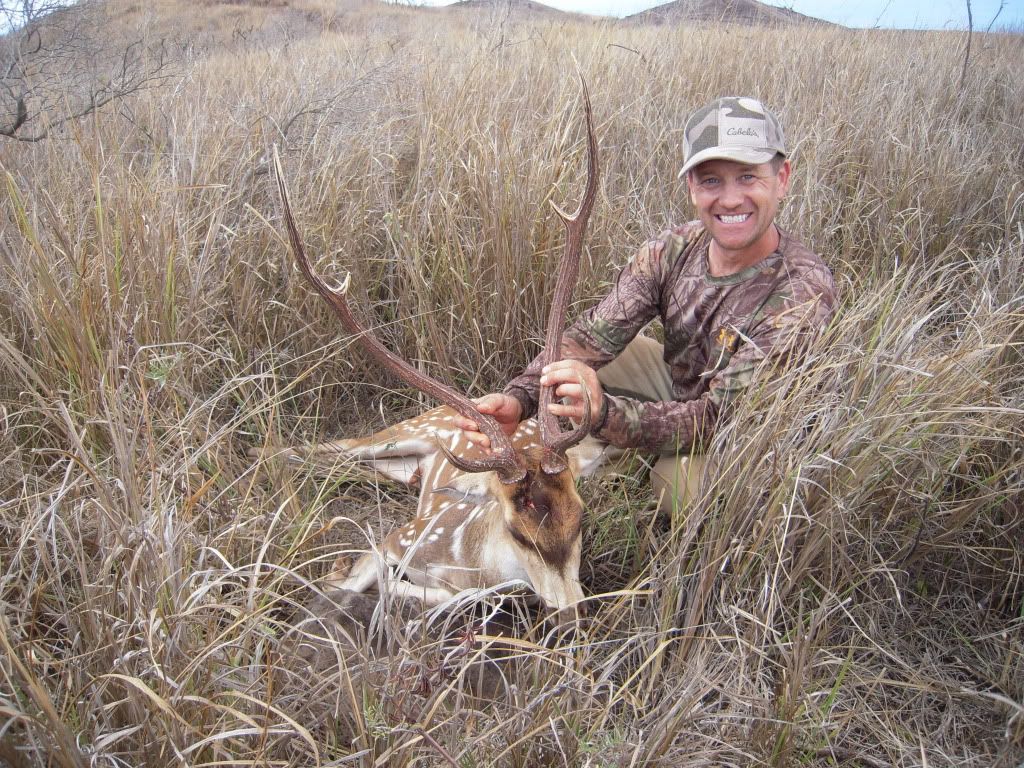 Axis Deer Hunting Lanai Hawaii Photo by 2good2 Photobucket